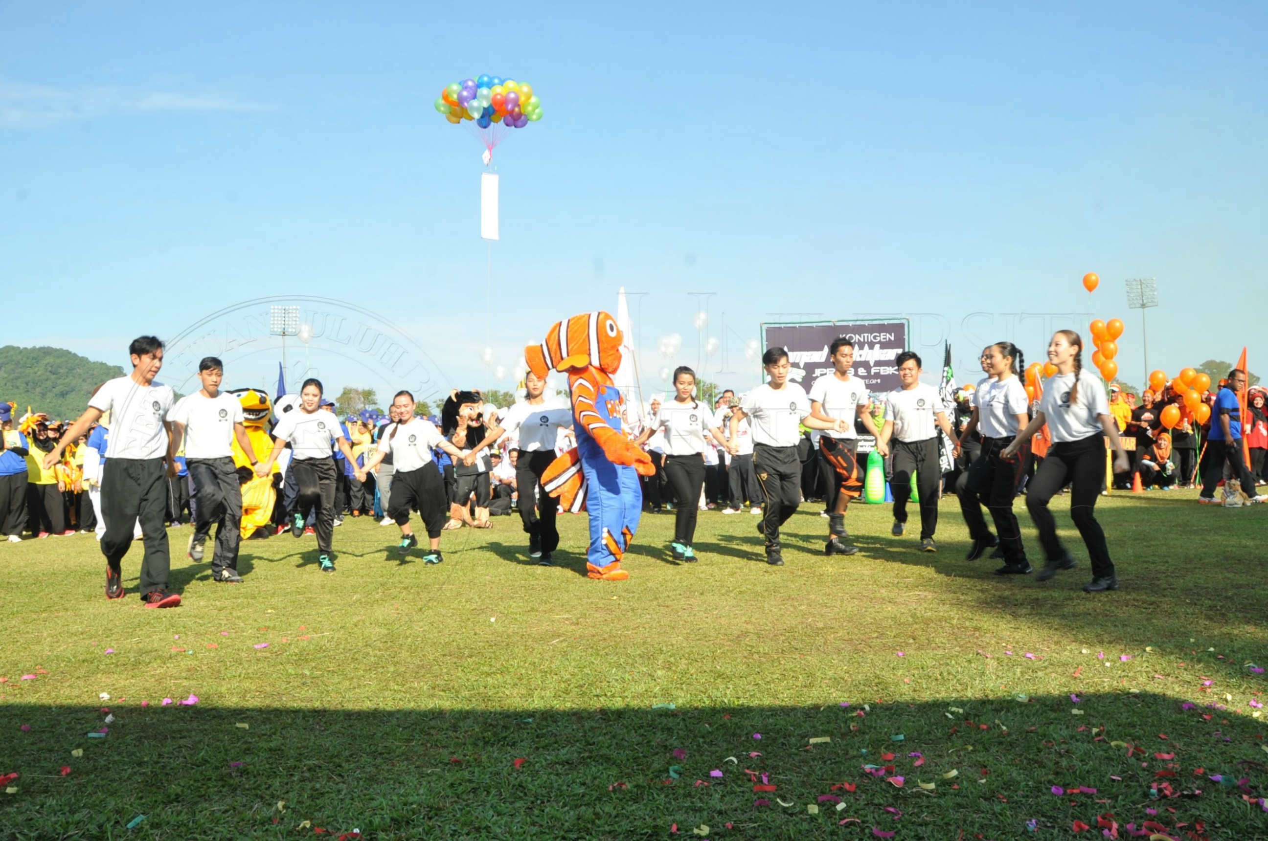 PRO 15 53 KIESTA HAS 3863